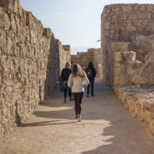 Mesada Tour | Masada Tour | Holy Land VIP Tours