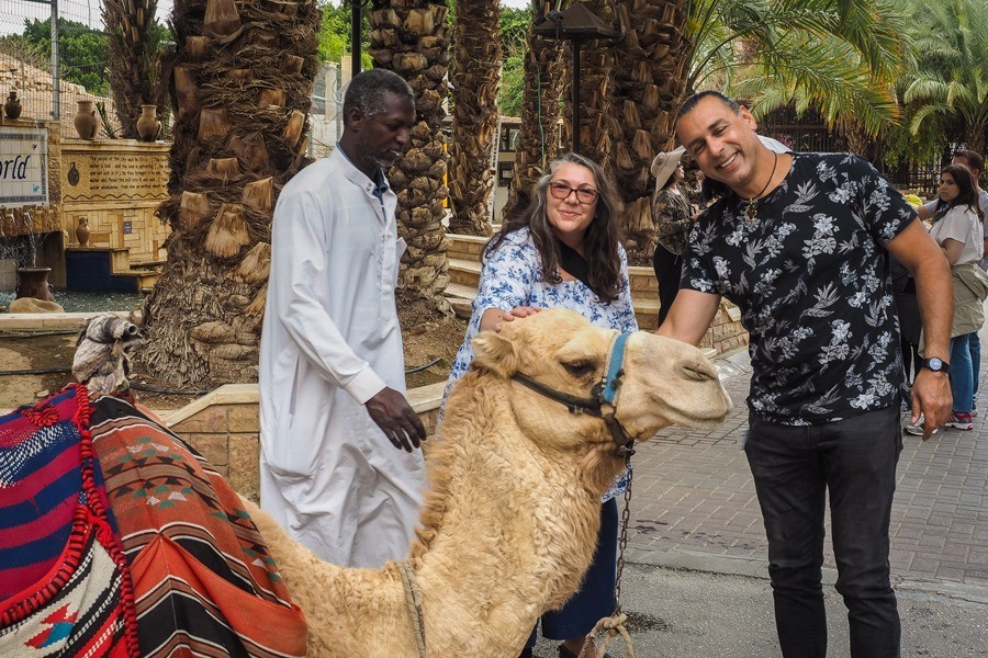 Camel ride